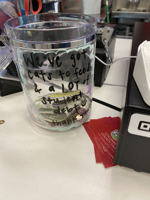 Help those kitties please  at Java Juice Cafe in Flagstaff