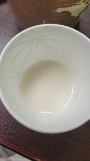 Homemade oat milk at Java Juice Cafe in Flagstaff