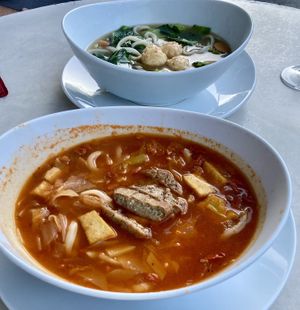   at Vegefarm in Bremen