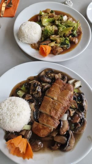 How-Yo Lamm und An-Dung Ente at Vegefarm in Bremen