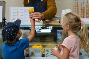 Mango Sorbet. at Lalele Organic Gelato in Hobsonville
