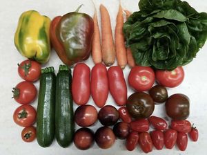Own Cultivation at Gärtnerei Sturm in Neunburg Vorm Wald