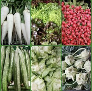 Own Cultivation at Gärtnerei Sturm in Neunburg Vorm Wald