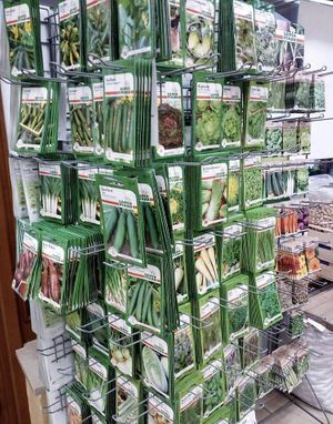 Seeds at Gärtnerei Sturm in Neunburg Vorm Wald