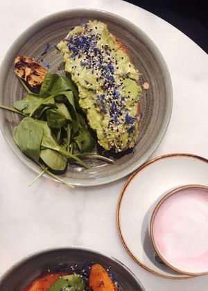 Avocado with bread at Avo Brothers in Milan