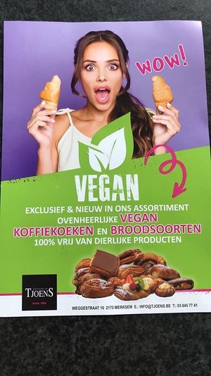 Vegan   at Tjoens in Antwerpen