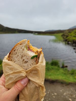 Marinated Tofu & Hummus Sandwich - Packed Lunch at Saorsa 1875 in Pitlochry