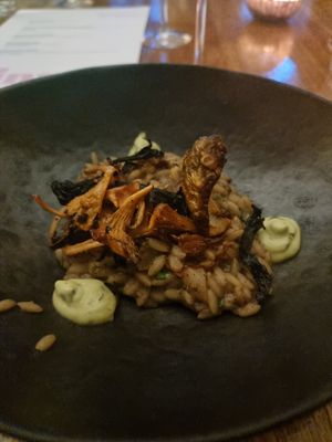 Mushroom orzo at Saorsa 1875 in Pitlochry