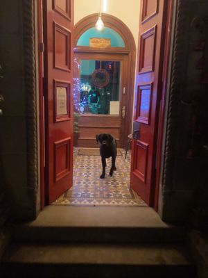 Archie loved his peanut butter treats!  at Saorsa 1875 in Pitlochry