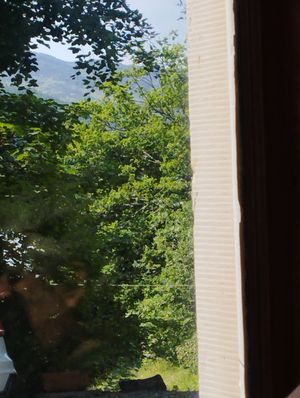 View at Saorsa 1875 in Pitlochry