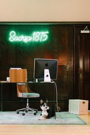 Reception at Saorsa 1875 in Pitlochry