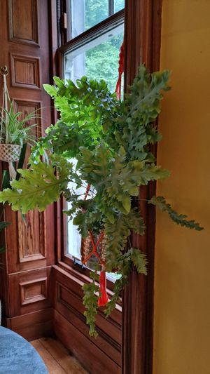  at Saorsa 1875 in Pitlochry