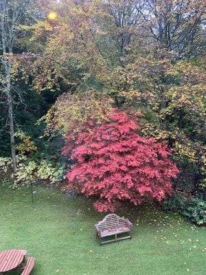 Bedroom view at Saorsa 1875 in Pitlochry