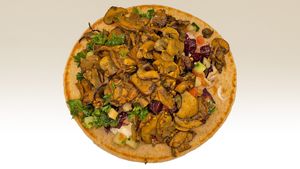 Vegan Mushroom Shawarma Wrap at Olive Kebab Restaurant in Etobicoke