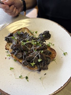   at Little Devil's Cafe in Aberystwyth