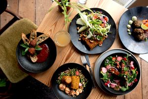 . at VanPlanten in Utrecht