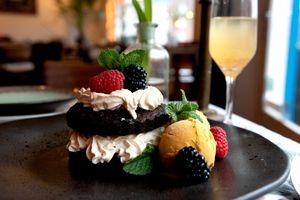 . at VanPlanten in Utrecht