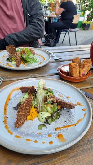 Starter at VanPlanten in Utrecht