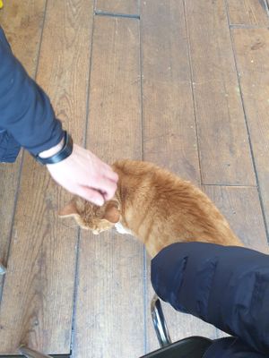  at VanPlanten in Utrecht