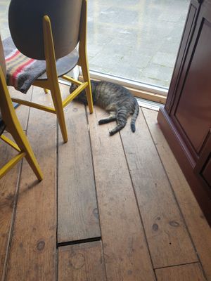  at VanPlanten in Utrecht