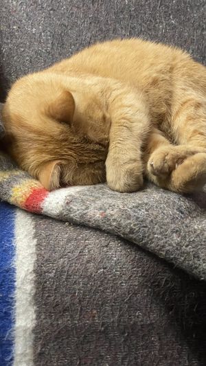   at VanPlanten in Utrecht