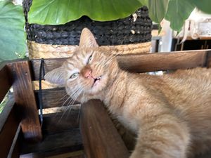   at VanPlanten in Utrecht