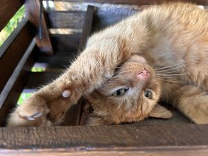   at VanPlanten in Utrecht