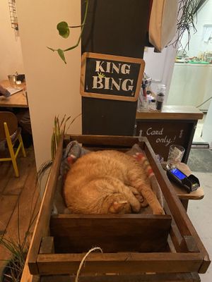 The King  at VanPlanten in Utrecht