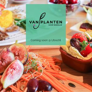 Our team is busy with the preparations for the opening of our new restaurant VanPlanten!
Green, sustainable and delicious, coming up soon in Utrecht (former location VeganGorilla)  at VanPlanten in Utrecht