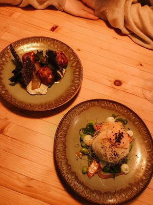 Mains  at VanPlanten in Utrecht