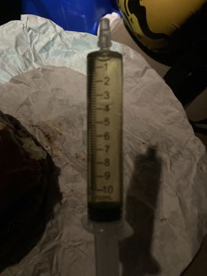 Truffle Oil Syringe at Vegan Brüder in Fort Lauderdale