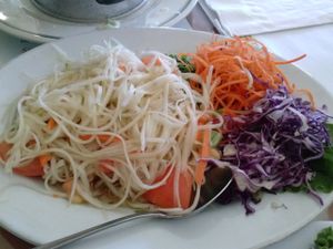 papaya salad at Wheel of Life in Irvine