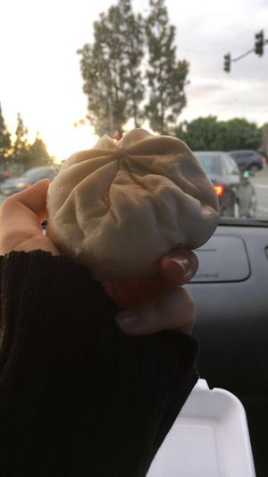 Their steam buns🌱✨ at Wheel of Life in Irvine