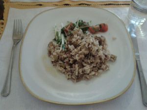 Veggie rice with seitan (wheat gluten) at El Celler de Triton in Sant Feliu De Guixols