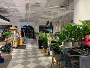 Inside cafe  at Oasis Bakery in Fairfield