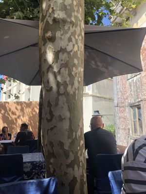   at Bengal Tandoori in Lisbon