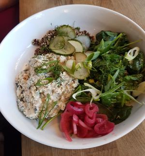 Chuna salad at Punk Vegan in Leeds