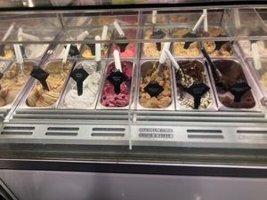 Vegan ice creams including coconut, salted peanuts, pistacchio, hazelnut, chocolate, Nutella, cafe, apple and cinnamon, lemon, blueberry,strawberry, passion fruit at Gelateria Brivido in Rome