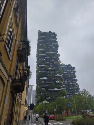 Food was eaten before we managed to take a picture 😁 at Poke House in Milan