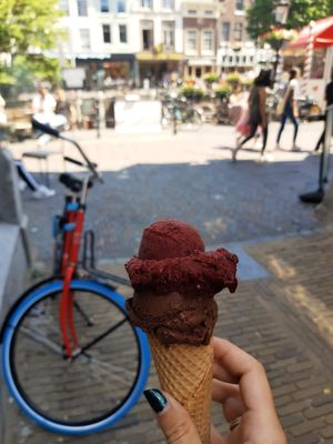 Blueberry and chocolate at Venezia  in Utrecht