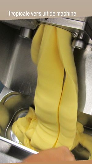 Home made vegan flavors  at Venezia  in Utrecht