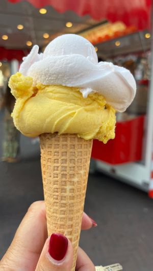 Vegan options  at Venezia  in Utrecht