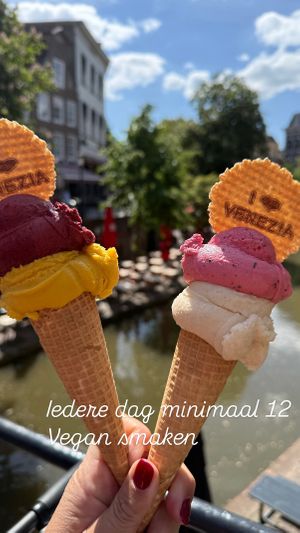 Every day always 12 vegan options  at Venezia  in Utrecht