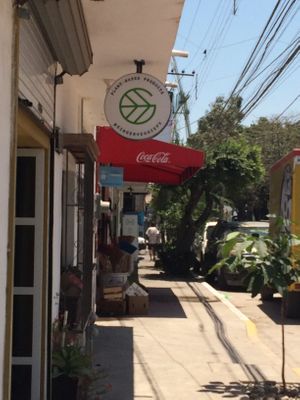   at Ginger Veggie in Puerto Vallarta