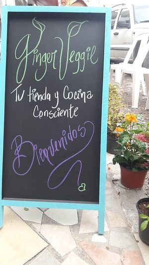Bienvenidos!!

Welcome!!
 at Ginger Veggie in Puerto Vallarta