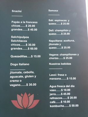 Menu.p3 at Ganesh in Guadalajara