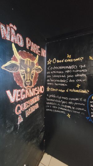  at Mandarina in Florianopolis