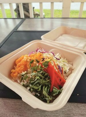 Mandarin Peanut Salad w/Oil-free Coconut Dressing. Eat-in or order to-go in our compostable packaging.  at Leaf & Lentil in Sarasota