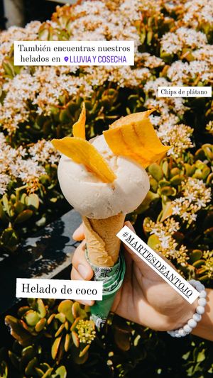  at Glotonería in Oaxaca