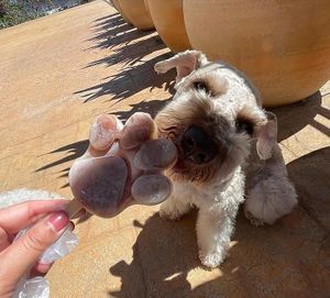  at Glotonería in Oaxaca